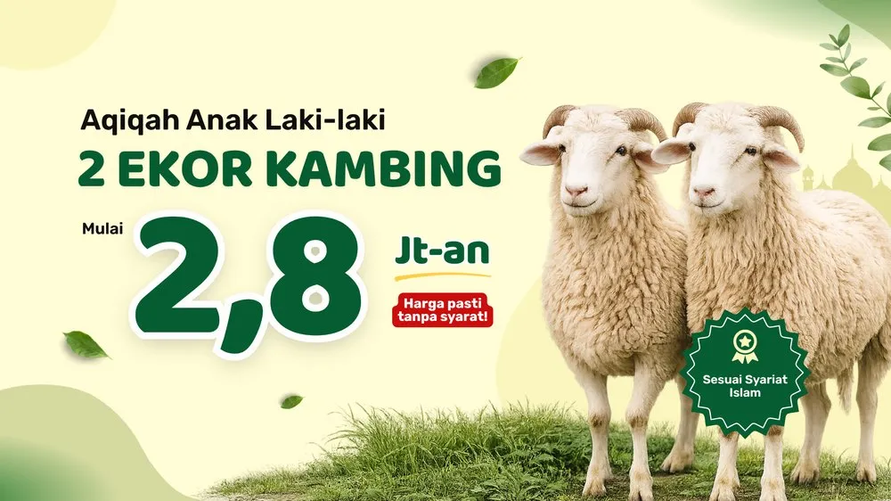 Aqiqah Anak Laki-laki 2 Ekor Kambing